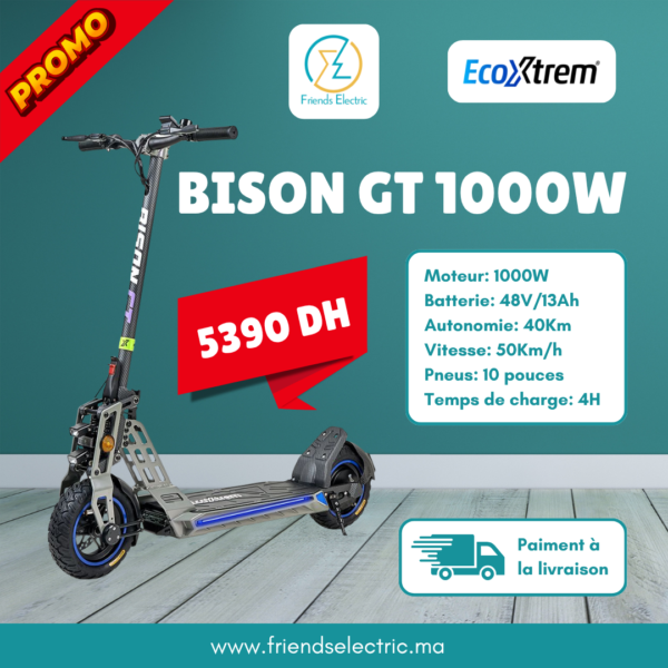 Trottinette Électrique EcoXtrem BISON GT