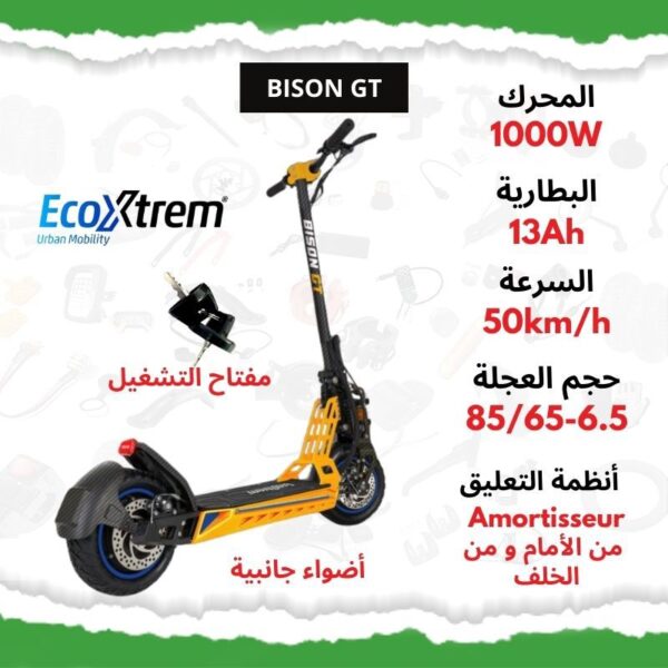 Trottinette Électrique EcoXtrem BISON GT – 1000W
