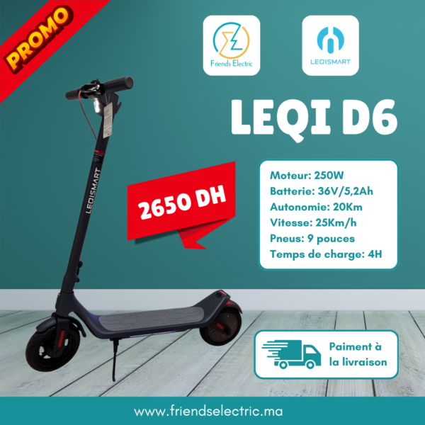 Trottinette Électrique LEQI D6