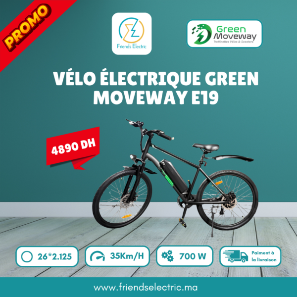 Vélo Électrique Green Moveway E19