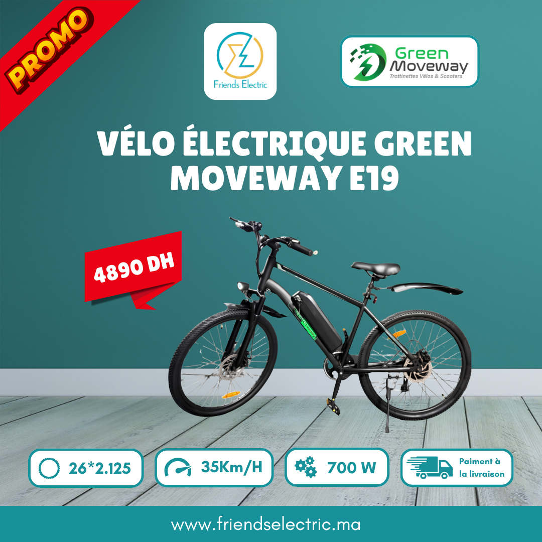friends electric Vélo Électrique Green Moveway E19 – Image 1