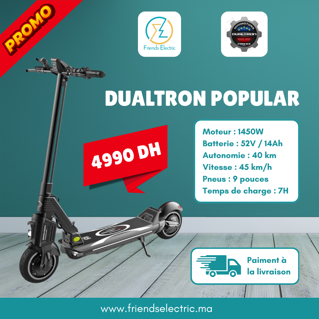 Copy of friends electric (3) Trottinette Électrique Dualtron Popular – Image 1